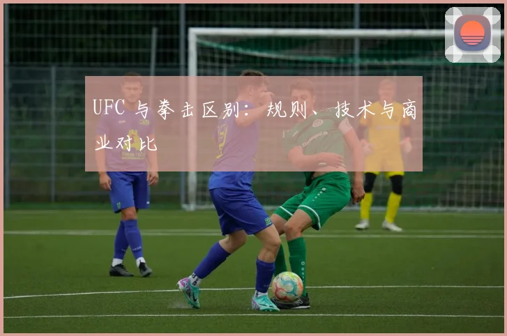 UFC 与拳击区别:规则、技术与商业对比