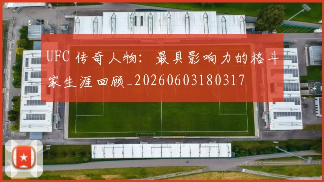 UFC 传奇人物:最具影响力的格斗家生涯回顾_20260603180317
